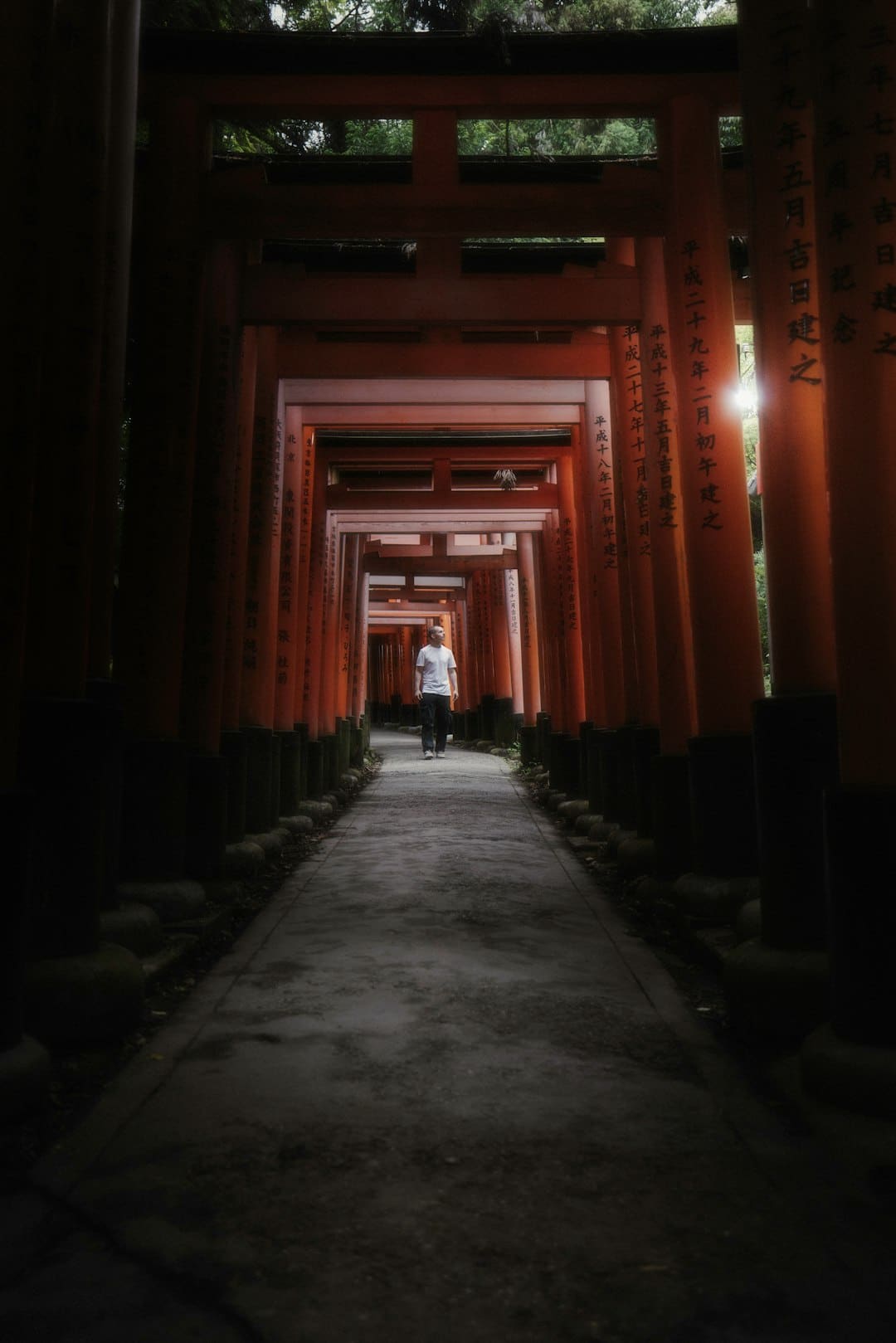 普京与特朗普新一轮会谈何时进行?俄方回应:可能是近期